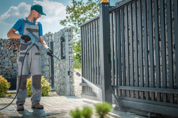 Best House Exterior Washing  in Wyanet, IL