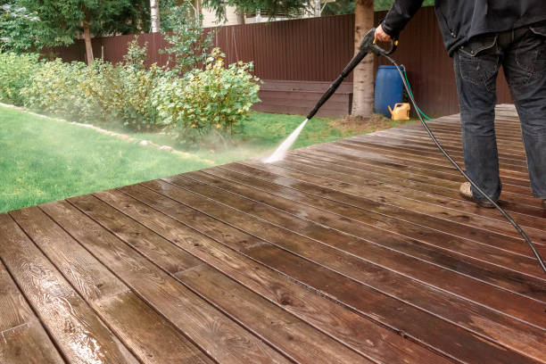 Best Soft Washing  in Wyanet, IL