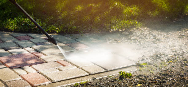 Animal Enclosure Cleaning in Wyanet, IL